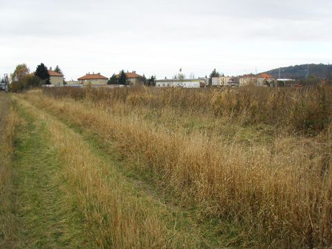 Foto 19
